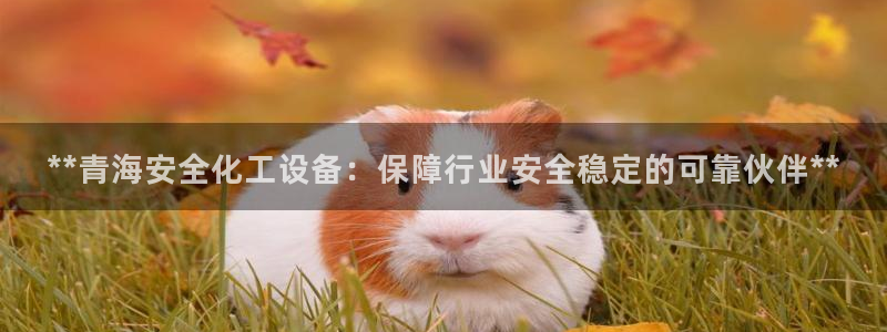 新城平台登录入口官网网址查询