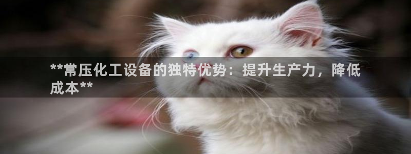 新城平台终7O777
