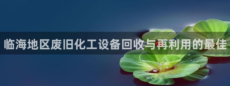 新城平台登录入口官网下载app