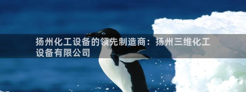 新城平台注册登录地址怎么填