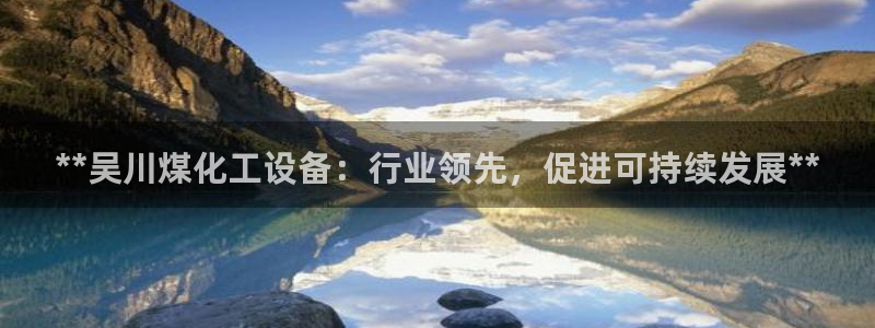 新城平台总代理是谁