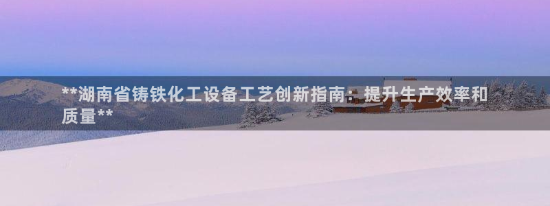 新城平台总代