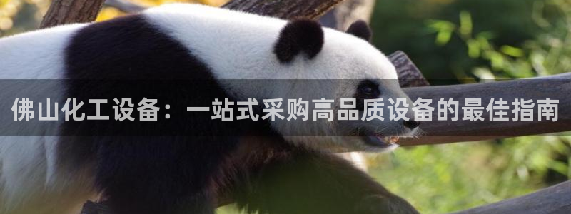 新城平台怎么样
