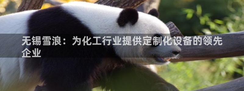 新城平台官网注册账号