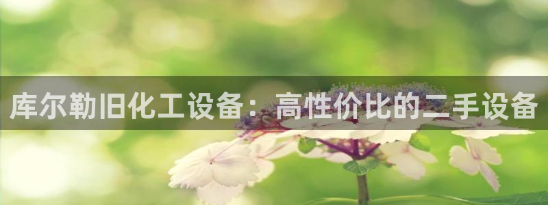 新城平台登录入口网址