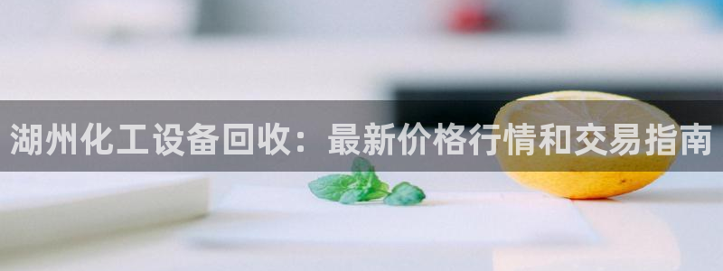 新城平台登录密码忘了怎么找回