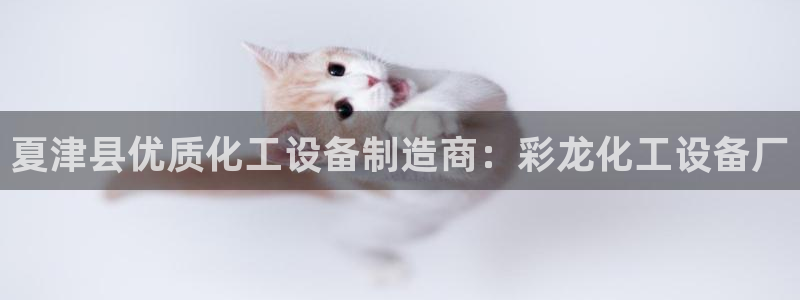 新城平台代理怎么做：夏津县优质化工设备制造商：彩龙