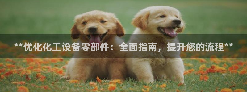 新城平台平台最新活动