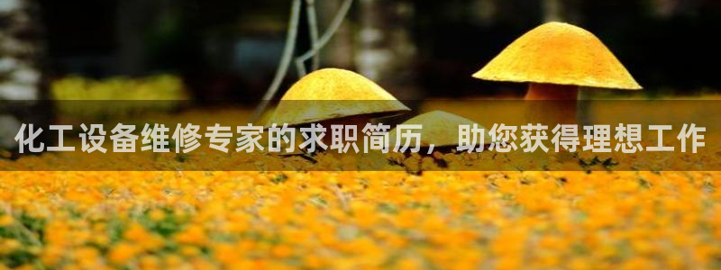 新城平台平台最新活动有哪些