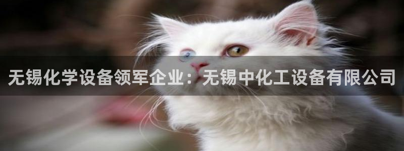 新城平台线路登录不上去了怎么办