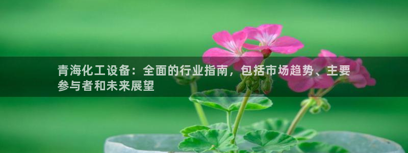 新城平台江7O777