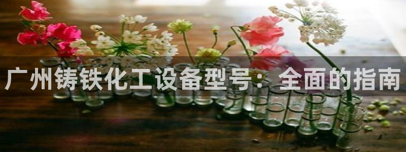 新城平台总代理是谁