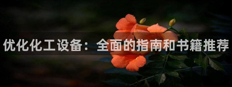 新城平台注册公司流程图