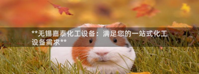 新城平台线路登录不上去怎么回事呢