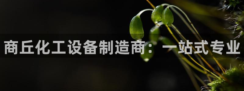 新城平台负责人名单