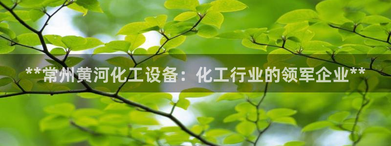 新城平台是干嘛的