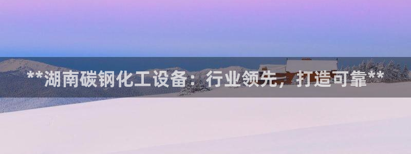 新城平台登录入口官网首页查询：**湖南碳钢化工设备：行业领先