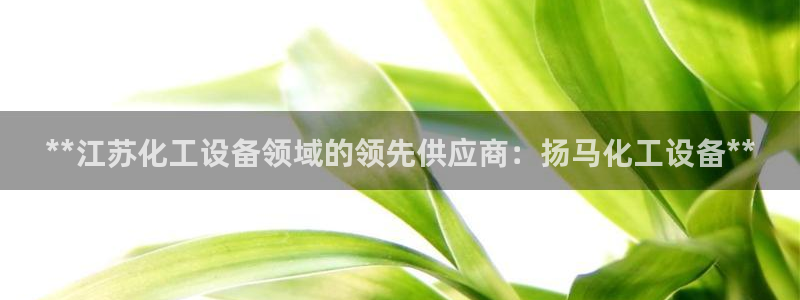新城平台在线登陆：**江苏化工设备领域的领先供应商：扬马化工