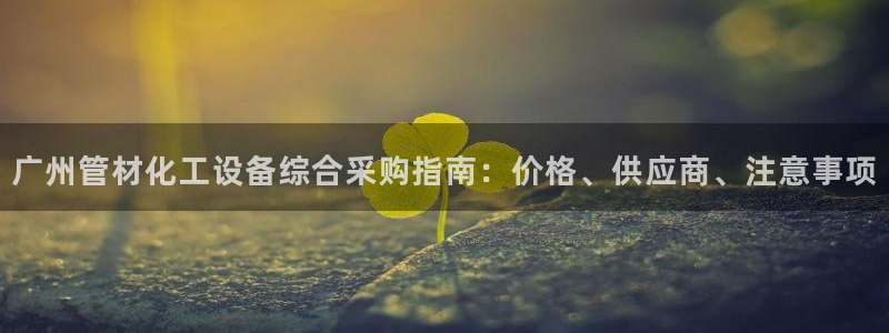 新城平台招商