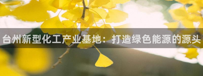 新城平台登录入口官网查询网址：台州新型化工产业基地：打造绿色