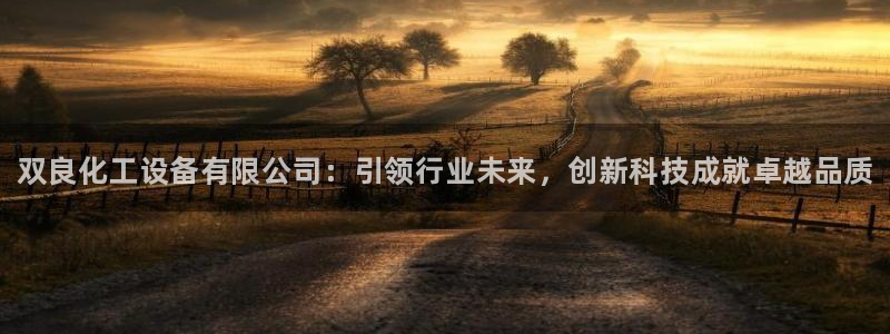 新城平台注册流程图：双良化工设备有限公司：引领行业