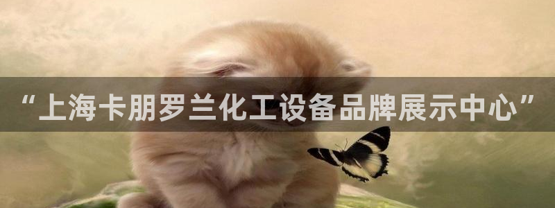 新城平台终7O777