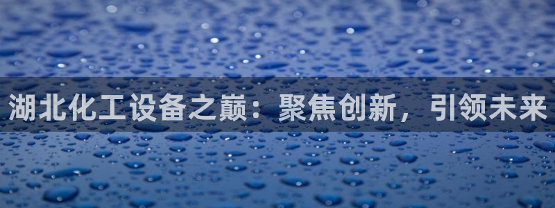 新城平台登录密码忘了怎么办