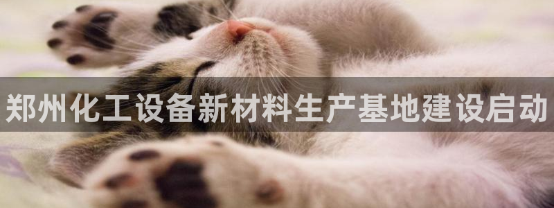 新城平台登录入口官网首页下载