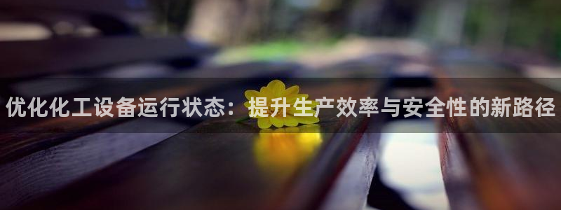 新城平台在线登陆：优化化工设备运行状态：提升生产效率与安全性
