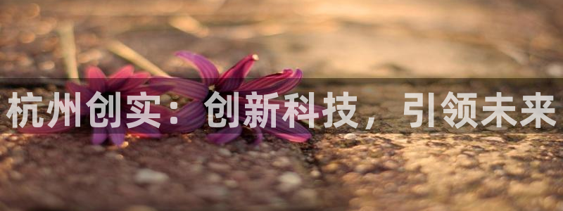 新城平台注册：杭州创实：创新科技，引领未来